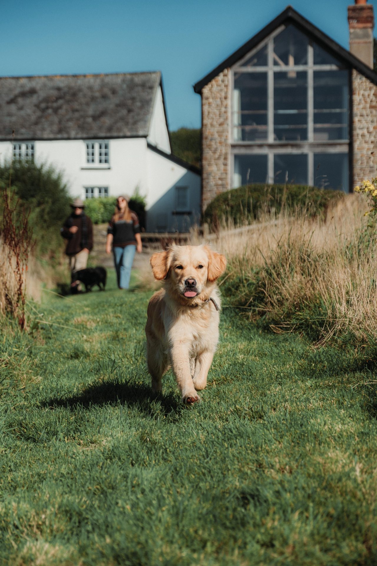 Dog friendly holiday let grounds at Mornacott Estate